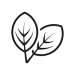 leaf-icon-vector-sign-and-symbol-isolated-on-white-background-leaf-logo-concept-oruj-hummatov
